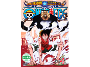 ONE PIECE s[X 9THV[Y GjGXEr[ R-04