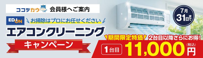 �Ɠd�̃v���̃N���[�j���O