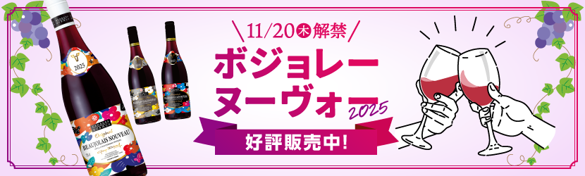 11/20(��)���� �{�W�����[�E�k�[���H�[2025