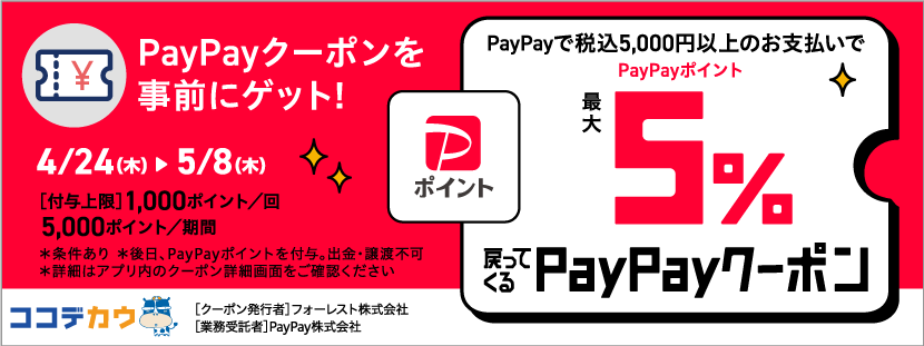 ߂ĂPayPayN[|
