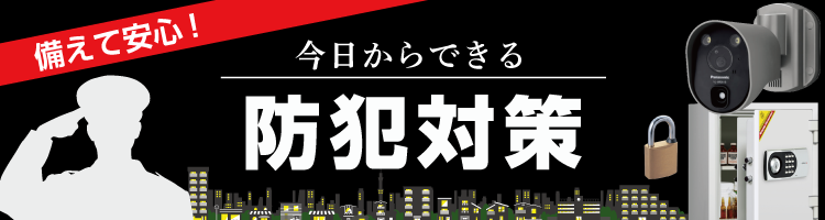 DZ.37二つ監視画面・パンチルト・夜間カラー 防犯カメラ 屋外 カラ[k4n] DZ.37二つ監視画面・パンチルト・夜間カラー 防犯カメラ 屋外 カラ