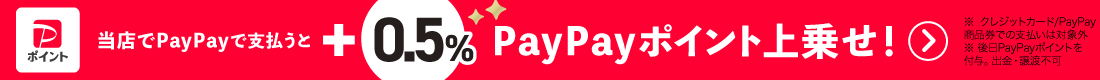 PayPayłxŁA0.5|Cg悹