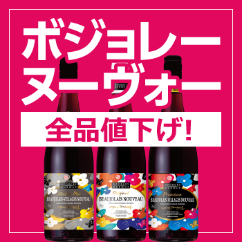 11/20(��)���� �{�W�����[�E�k�[���H�[2025