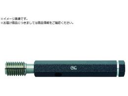 OSG vOQ[W ˂pEQ[W LG M2~0.4mm 30222