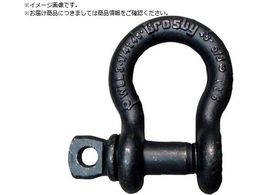 Crosby Xe[WpVbN 2t S209T-1 2