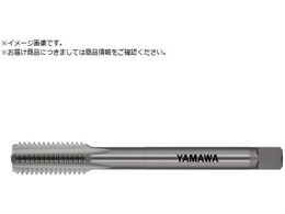 } Onh^bv LS-HT L120 P2 M5X0.8 1.5P LS-HT-F-P2-120-M5X0.8-1.5P