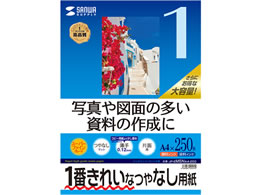 TTvC IJpX[p[t@Cp A4 250 JP-EM5NA4-250