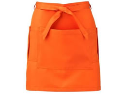 KAZEN WLD �T�����G�v���� �I�����W APK492-4