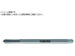 ���}�� �����O�V�����N���d�n���h�^�b�v LS-N-CT L100 P3 M5X0.8 1.5P LS-N-CT-P3-100-M5X0.8-1.5P