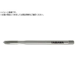 } O|Cg^bv LS-PO L70 P2 M2.6X0.45 LS-PO-F-P2-70-M2.6X0.45