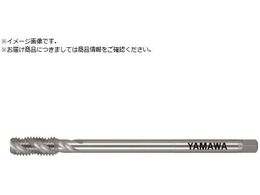 ���}�� �����O�X�p�C�����^�b�v LS-SP L200 P2 M18X1.5 LS-SP-P2-200-M18X1.5