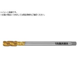 } OR[eBOXpC^bv LS-SP V L150 P2 M8X1.25 LS-SP-V-P2-150-M8X1.25