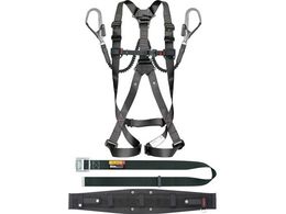 ^W} ZOlX 501 L SEGNES501L