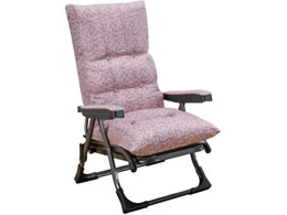 t@~[ECt 났̃NCjOA[`FADXII PK 0411280