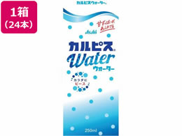 Gr[ JsXEH[^[ (LL) pbNX 24{