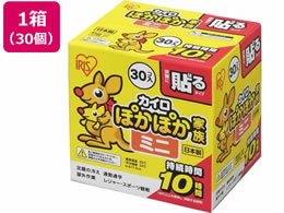 ACXI[} ۂۂƑ \~j 30P PKN-30HM