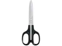 RN nT~ [HASA] () HASA-001