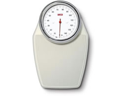 seca �A�i���O�t���b�g�X�P�[�� �̏d�v 25-3213-00 SECA760(�V��)