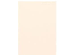 �k�z�R�[�|���[�V���� �j���[�t�@�C���J���[ A3 ���C�g�s���N 500��