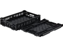 TR[ ܂肽݃Rei[ 556420 IREP22A-C