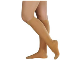 �A���P�A �A���V���N2�u���C�g(�n�C�\�b�N�X)�A���P�A 18561(L)�i�`�������x�[�W��