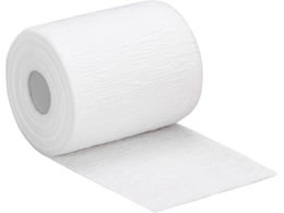 �A���P�A �f���A�v���X�E�e���V�����K�C�h ������� 25-7155-00 21381