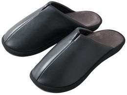 KING JIM ̈UXbpL SLP20-L