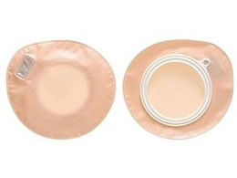 �A���P�A �v���P�A�[2�EM(50)�A���P�A 12172(10�}�C�C��)