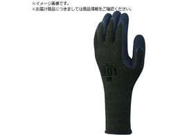 SHOWA  MAMORI 01Obv MTCY MAMORI01-M