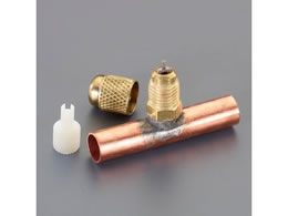 GXR F1^4 T^ANZXou 1^4Ǖt 3