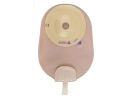 �C�[�L���W���p�� �C�[�L���p�E�`�R���x�b�N�X �E�� �X�g�[�}���� 24-4765-05 839549(40)10�}�C