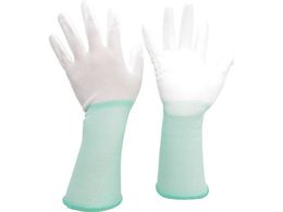 ~hS ᔭo O ̂ЂR[g 10o M