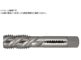 } XpC^bv ˂p SP LH P4 M30X3.5 SP-LH-P4-M30X3.5