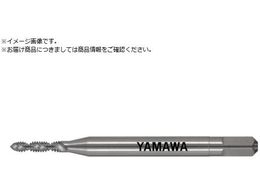 } XpC^bv SP P1 M1.6X0.35 SP-M1.6X0.35