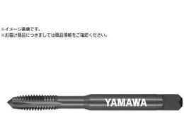 } [pV[g|Cg^bv S-PO P2 M2~0.4 S-PO-M2X0.4