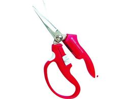 musashi  Ă nT~ I} }Olbg ،^  MG-2R