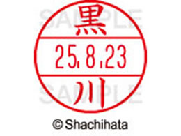 V`n^ f[^[l[EX15   XGL-15M-1000