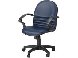 Netforce �g���v�� �����`�F�A �l�C�r�[