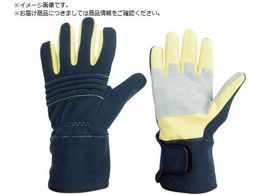 ~hS hEW[p hΎ ؊v⋭^Cv M