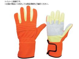 ~hS hEW[p hΎ ؊v⋭^Cv LL