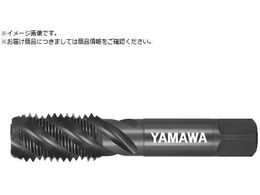 } XeX|pXpC^bv SU-SP P4 M22X2.5 SU-SP-P4-M22X2.5+20