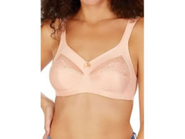 �V�O�}�b�N�X �C�T�h���u���b�V�� 886133(80C)