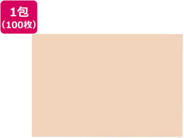 �剤���� �Đ��F��p�� 8�c��100�� ������������