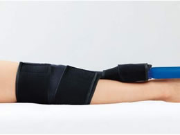 �V�O�}�b�N�X �Œ�J�o�[ �G�֐ߗp(��) 561170