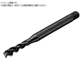 SANDVIK R^bv300 XpC^bv 780 B145 T300-MM171JA-M8 B145