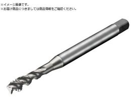 SANDVIK R^bv300 XpC^bv 780 D150 T300-SD150JA-M5 D150