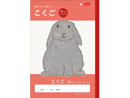 �T�N���N���p�X �w�K�� ������ 10�}�XR NJ22