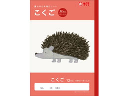 �T�N���N���p�X �w�K�� ������ 12�}�XR NJ23