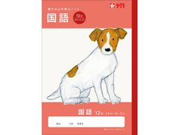 �T�N���N���p�X �w�K�� ���� 12�sR NJ27