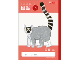 �T�N���N���p�X �w�K�� ���� 17�s NJ30